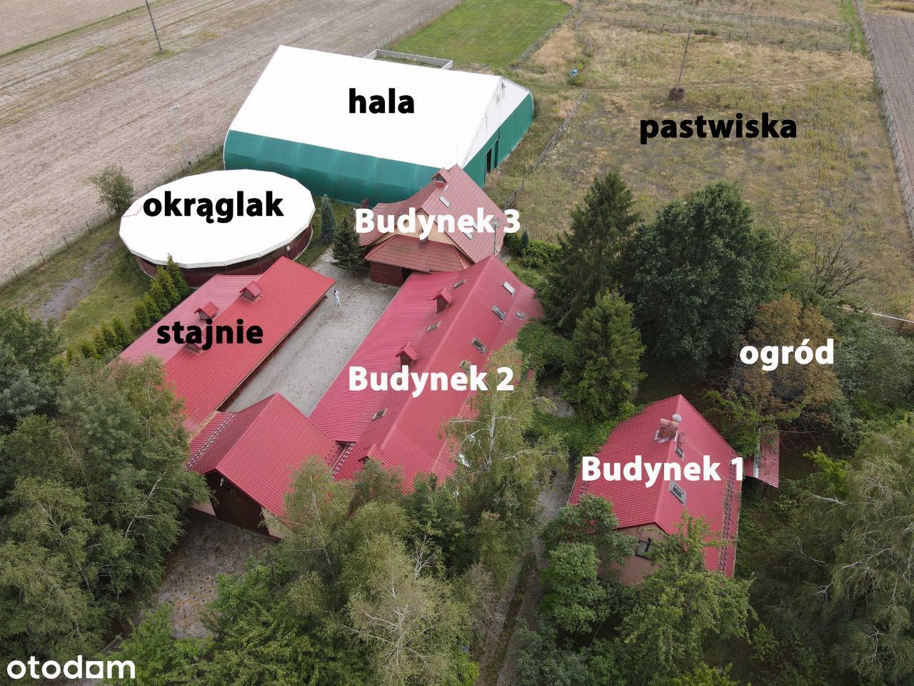 Ośrodek jeździecki Bierdzany - budynki i działki