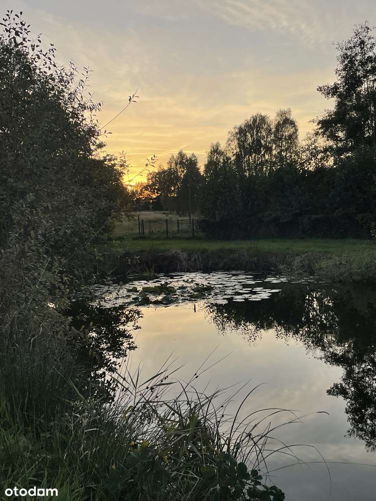 Wyjątkowy dom ze stawem i działką 0.6 ha-Słone 8 km od Zielonej Góry-11
