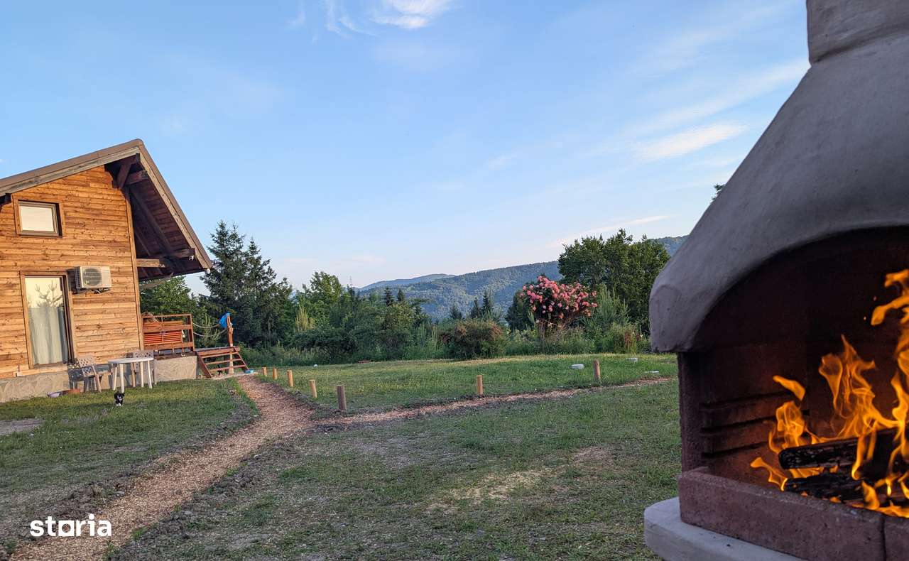 Cabana situată pe un teren de 8.638 mp, cu pădure (intra&extravilan). - Imagine principală: 5/16