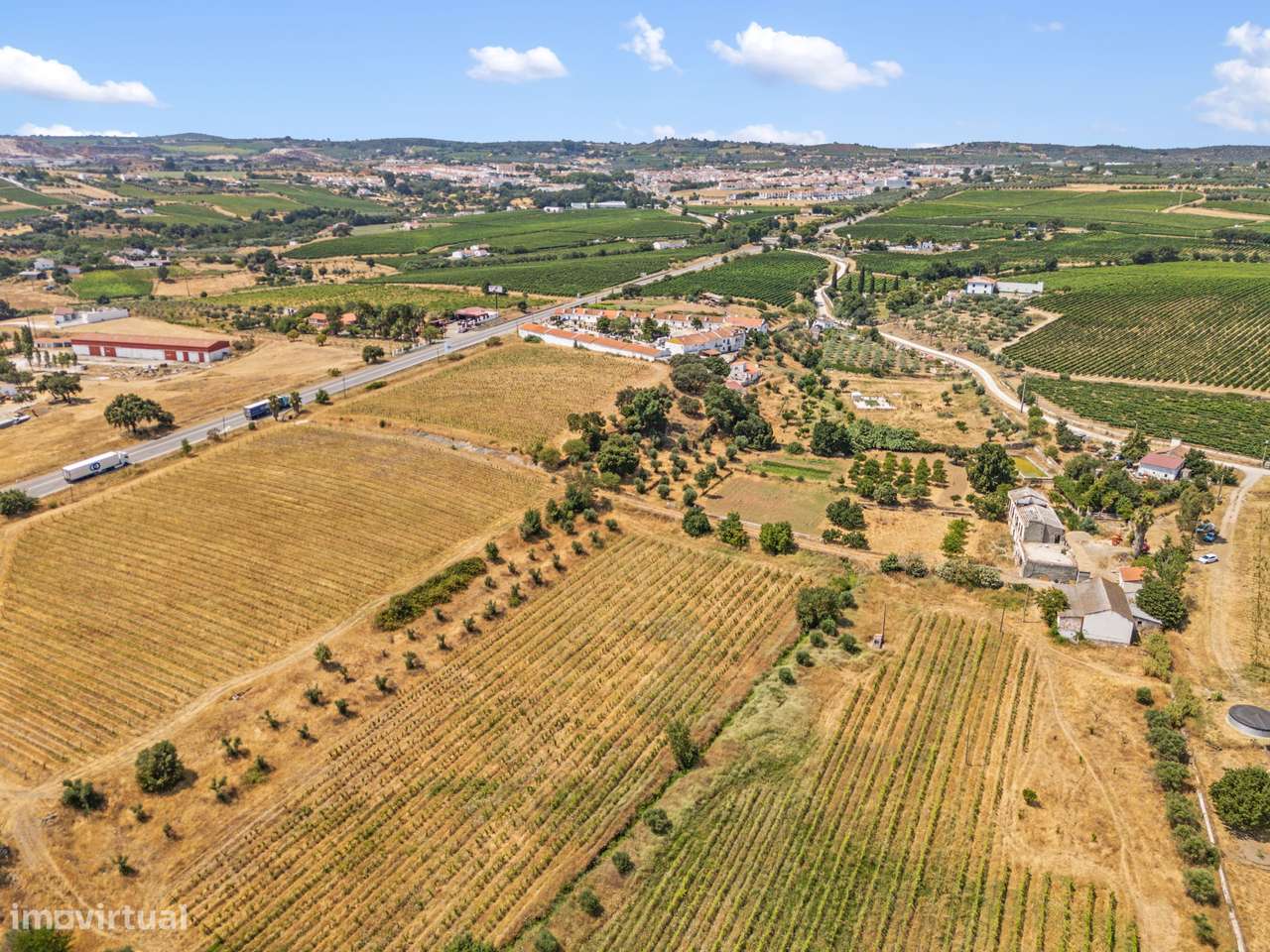 Quinta em Borba: projeto de enoturismo e vinha DOP, Alentejo-3