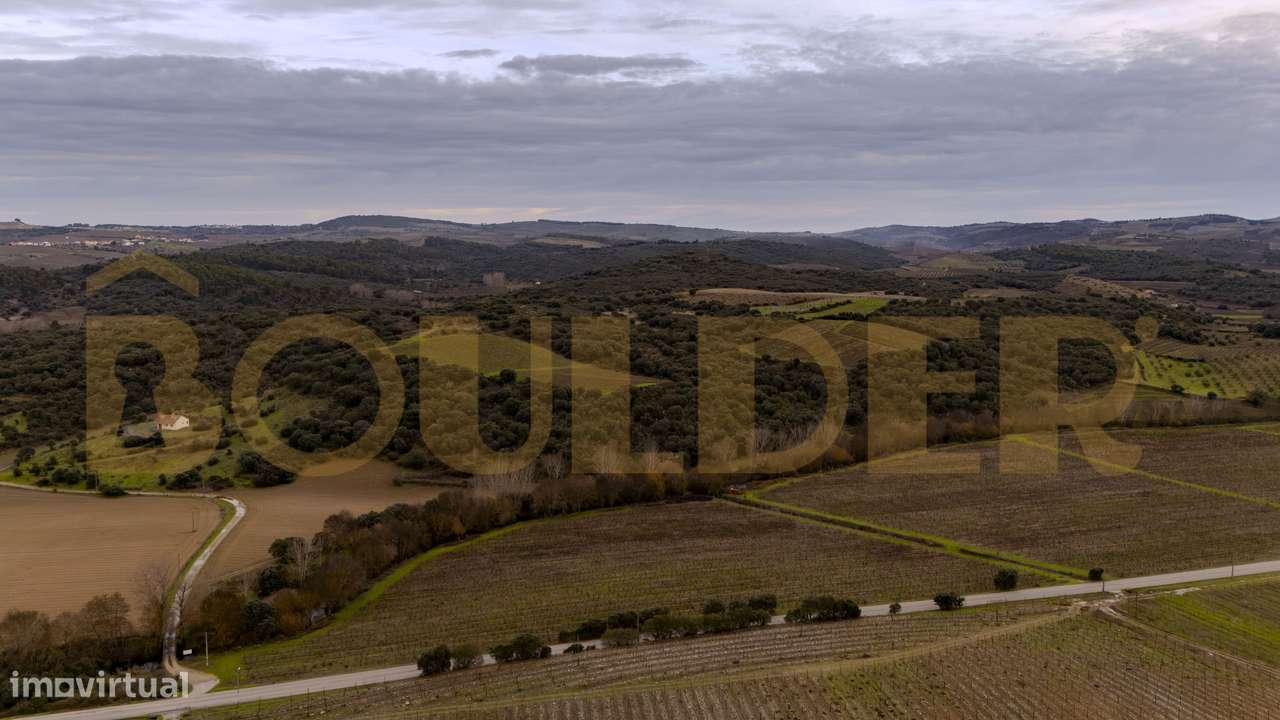 Quinta do Arieiro - Cedovim | Vila Nova de Foz Côa | Douro Superior-28