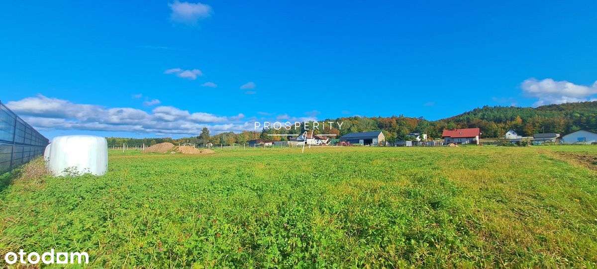 Działki budowlane w Zelewie - Pełny obrazek: 2/11