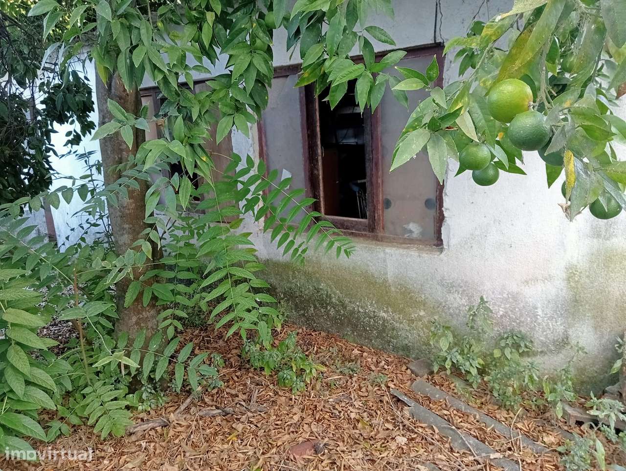 Moradia T2 para Restaurar a 5 Minutos de Santarém - Grande imagem: 5/10