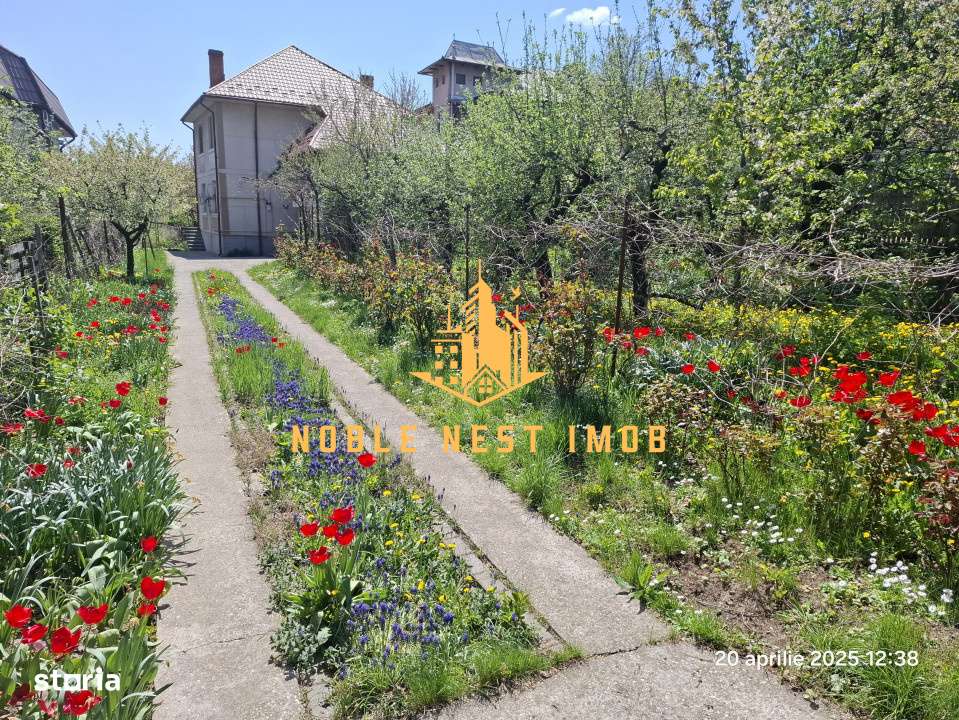 Vila 7 camere, Strada TRIVALE, Teren 1150 mp - COMISION 0%-3