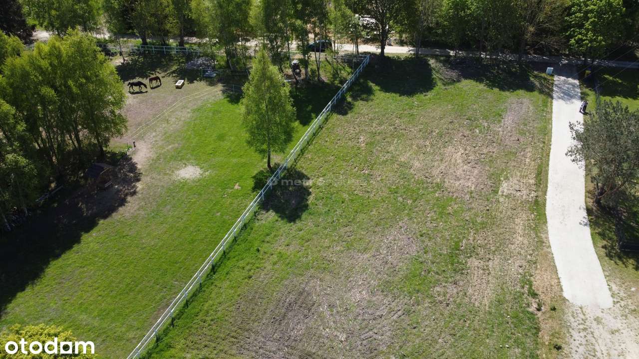 DZIAŁKA pod Kołobrzegiem i blisko morza - Pełny obrazek: 5/13