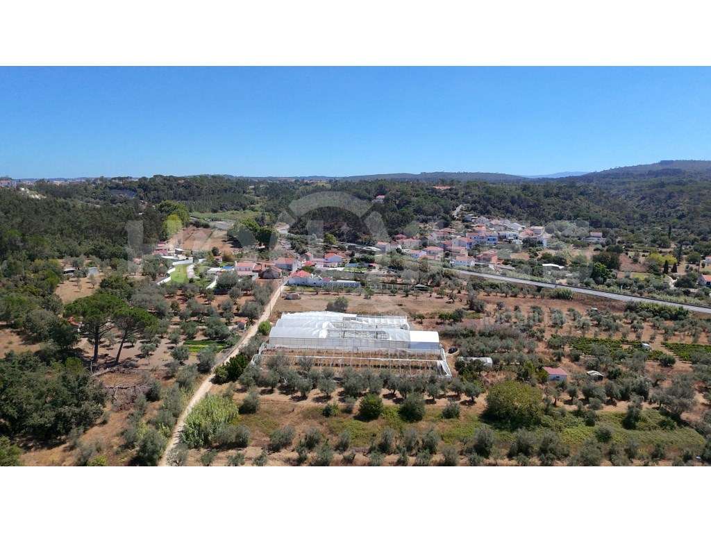 Terreno Agrícola com Estufas Preparadas para Produção em Hidroponia...-14