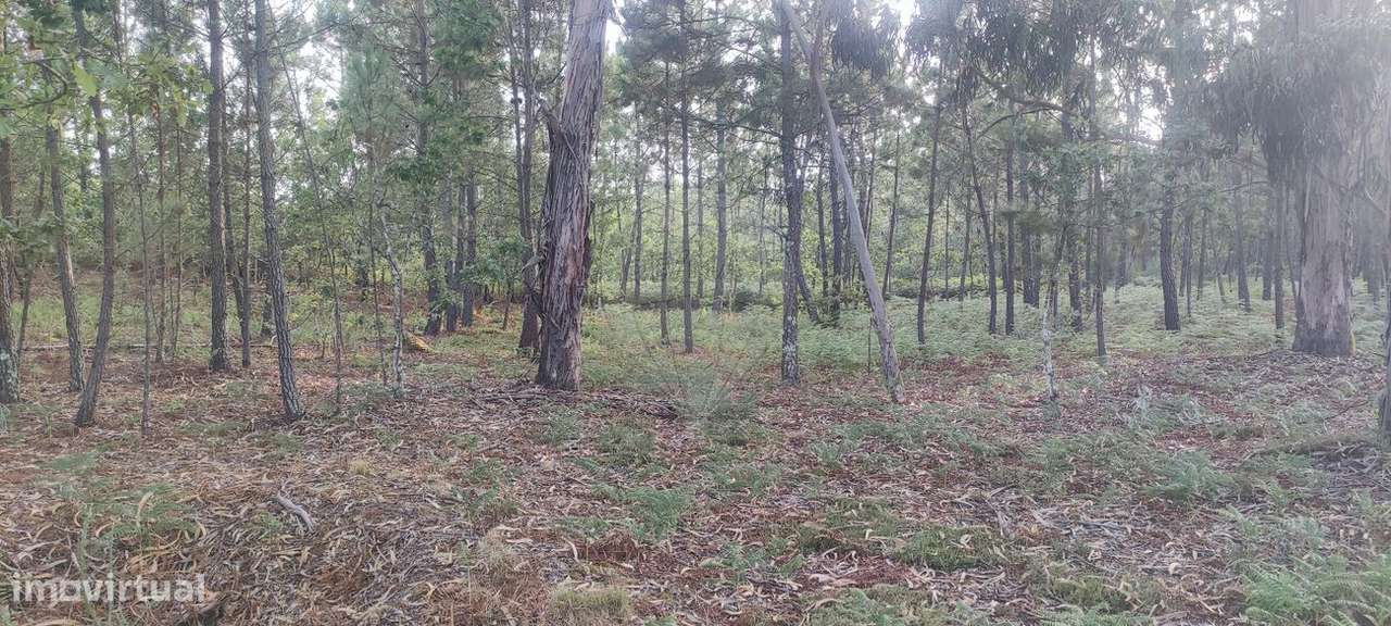 Terreno  para venda - Grande imagem: 4/8