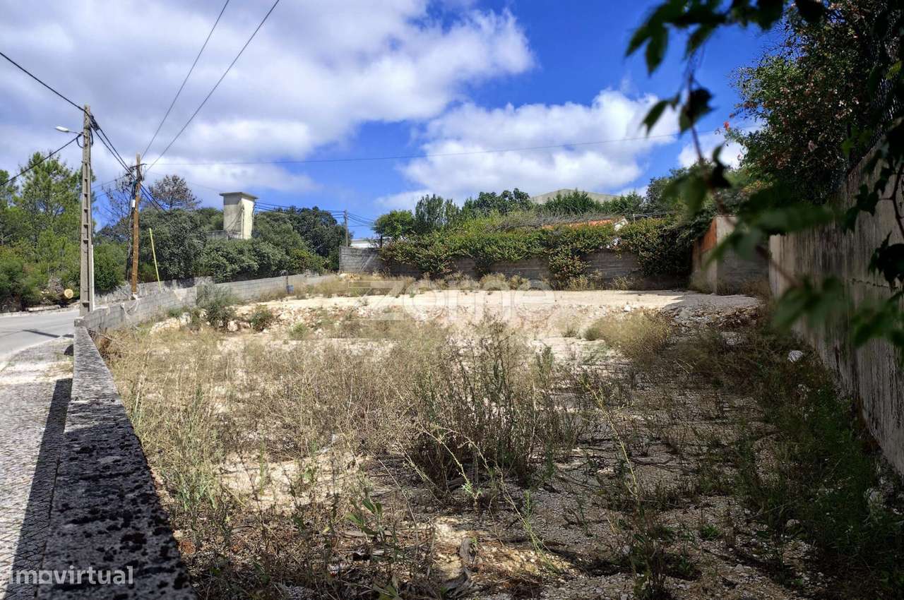 Dois lotes de terreno para construção em Mira de Aire, Porto de Mós-11