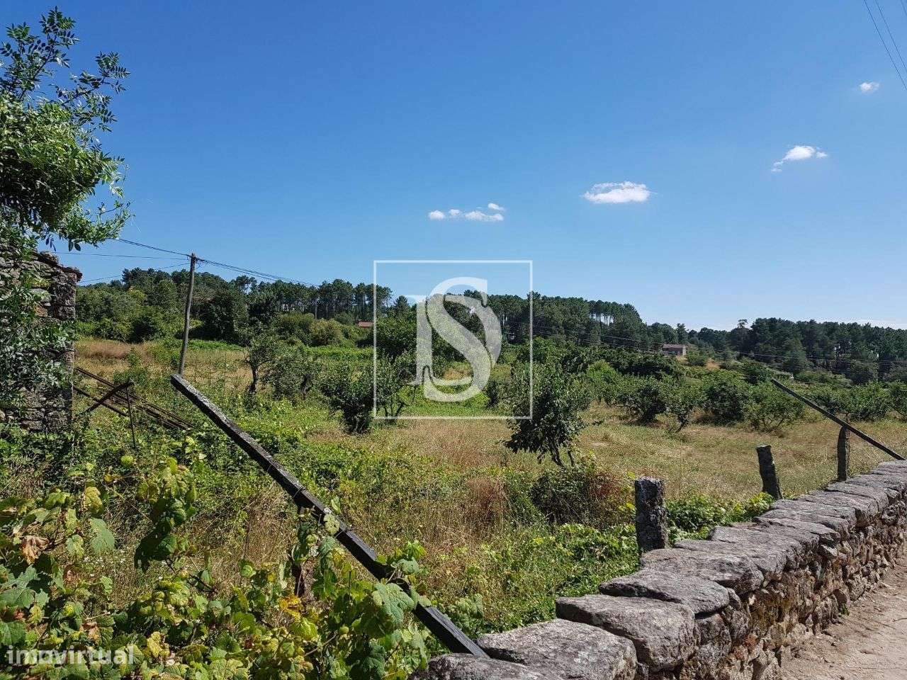 Terreno - Mouçós - Vila Real - Grande imagem: 4/6