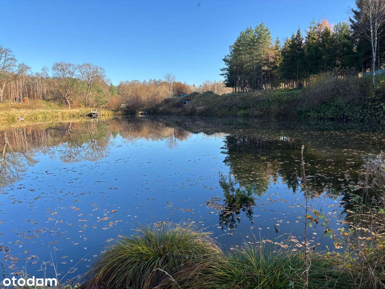 Działka siedliskowa z wydanymi warunkami zabudowy + stawy rybne-8