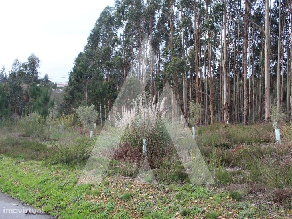 Terreno para Construção - Grande imagem: 4/21
