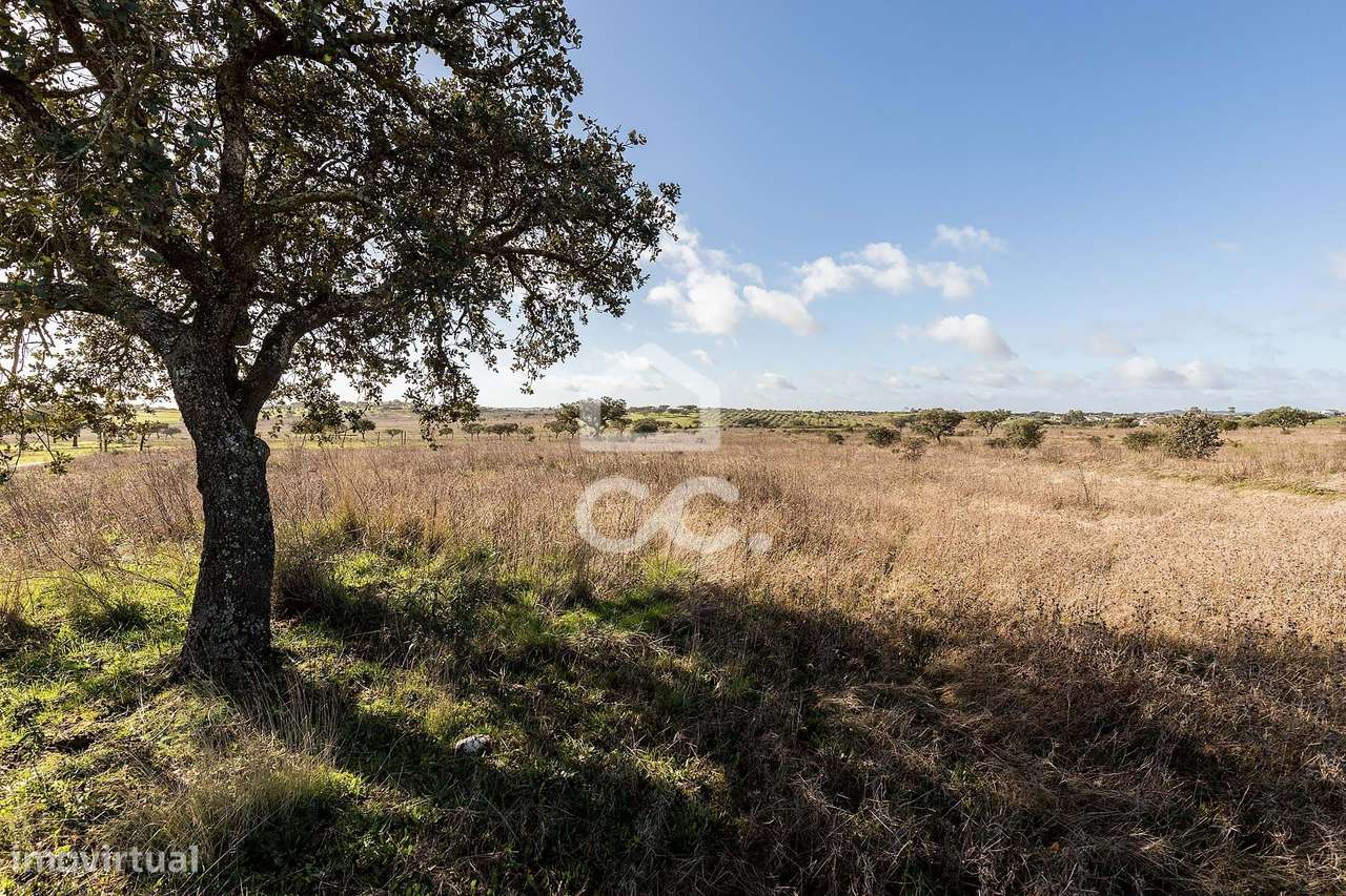 Terreno de 5,4 ha c/ Viabilidade de Construção | Capelins, Alandroal-9