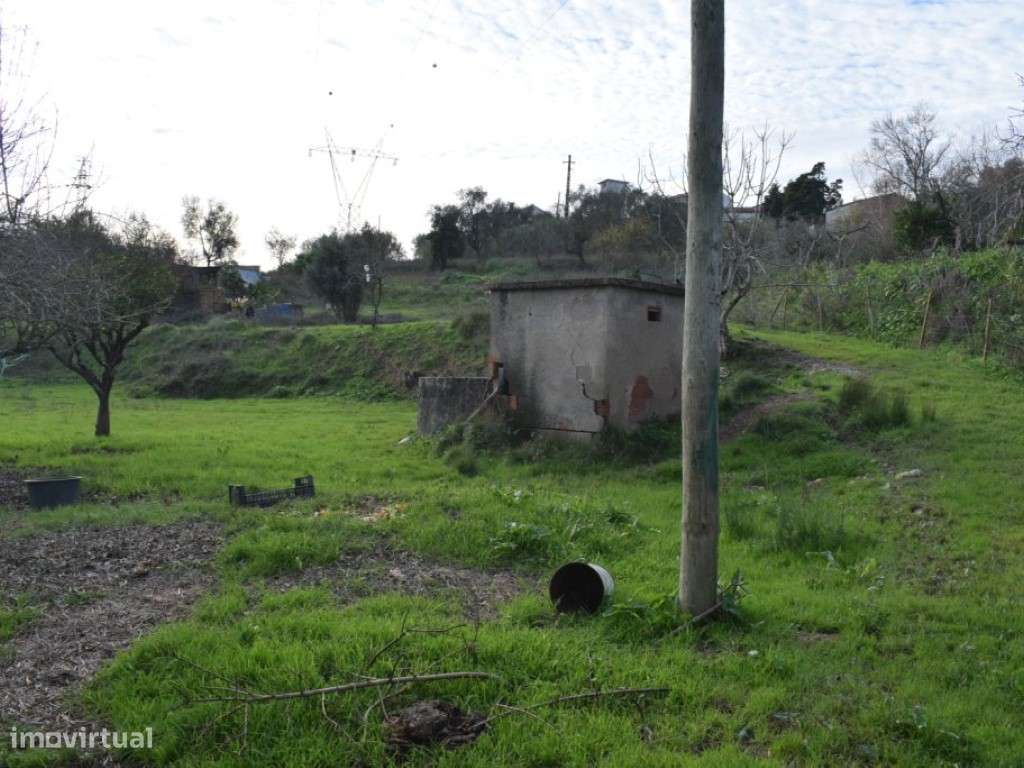 Quinta entre Antanhol e Cernache-5