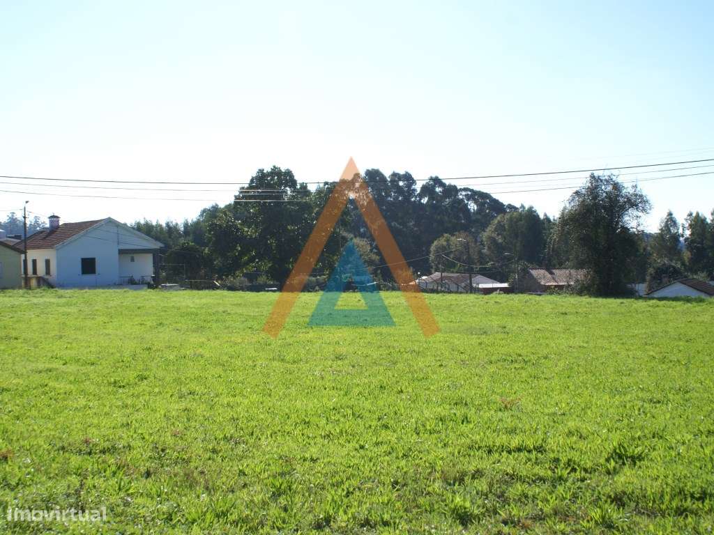 No centro da Cidade terreno com grande área - Grande imagem: 3/3