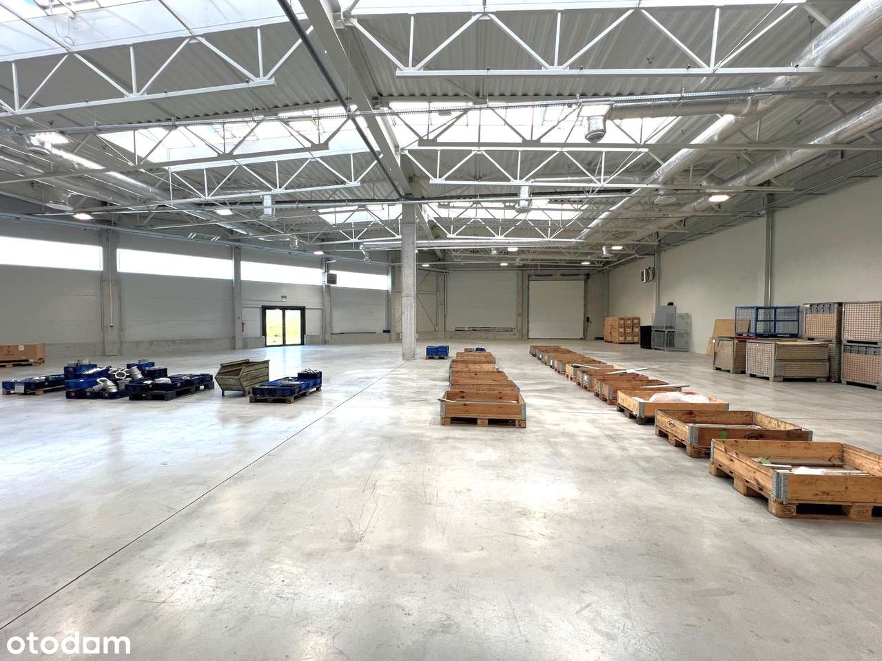 Hala 1500 m2 na wynajem Jasionka przy lotnisku, cały obiekt, magazyn - Pełny obrazek: 4/17