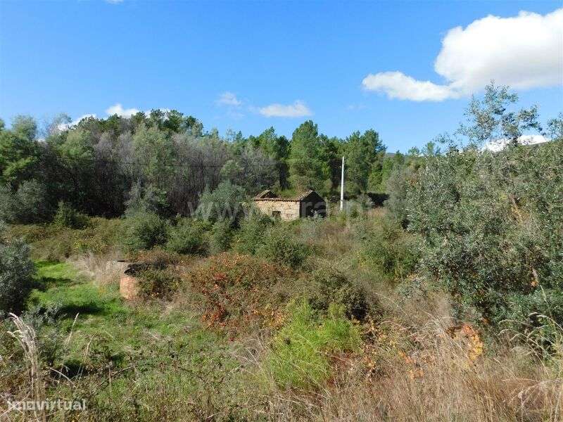 Quintinha / Fundão, Vale Prazeres - Grande imagem: 5/10