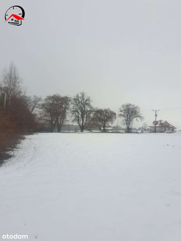 Niezwykła działka nad rzeką w Lubrańcu - Pełny obrazek: 4/7