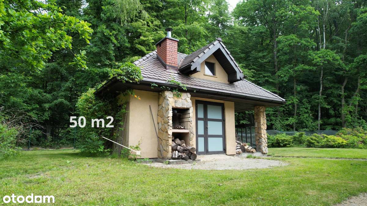 Twoja najlepsza historia zaczyna się tutaj-4