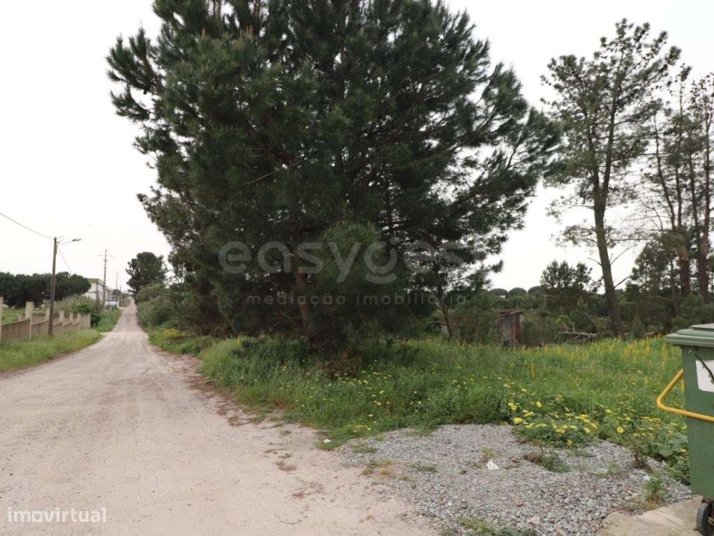 Terreno Rústico com viabilidade de Construção - Grande imagem: 5/8