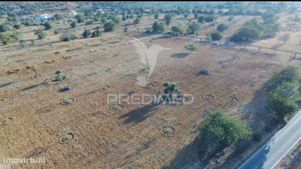 Terreno na Ataboeira - Grande imagem: 5/15