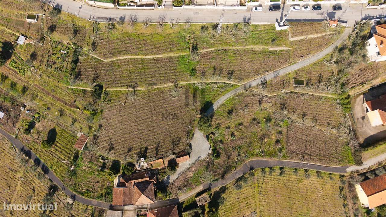 Oportunidade no Douro | Quinta com História | Lamego-15