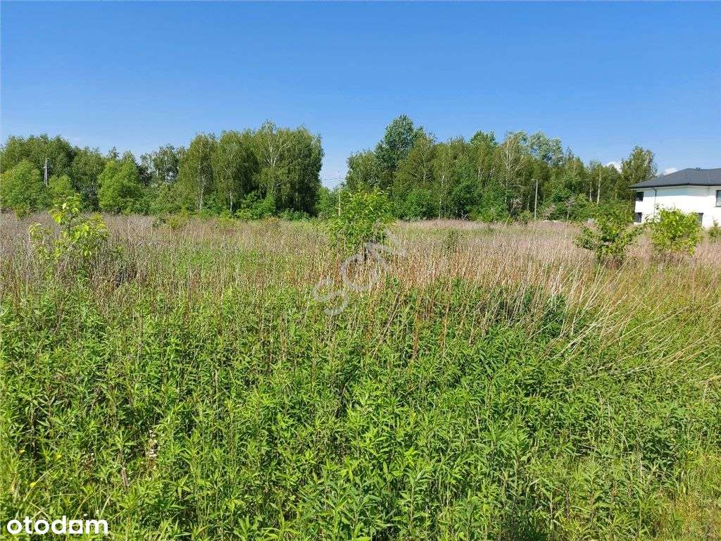 Warunki zabudowy na dom wolnostojący - Pełny obrazek: 4/6