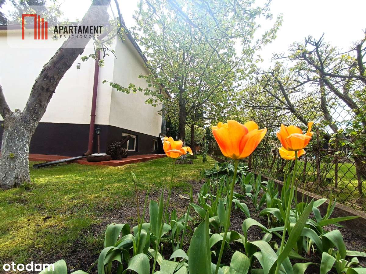 Urokliwa działka blisko Bydgoszczy... Drzewce - Pełny obrazek: 5/20