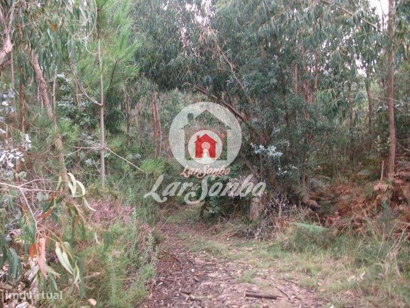 Terreno rustico com 17.000 m2 em Fornelo - Vila do Conde - Grande imagem: 4/13
