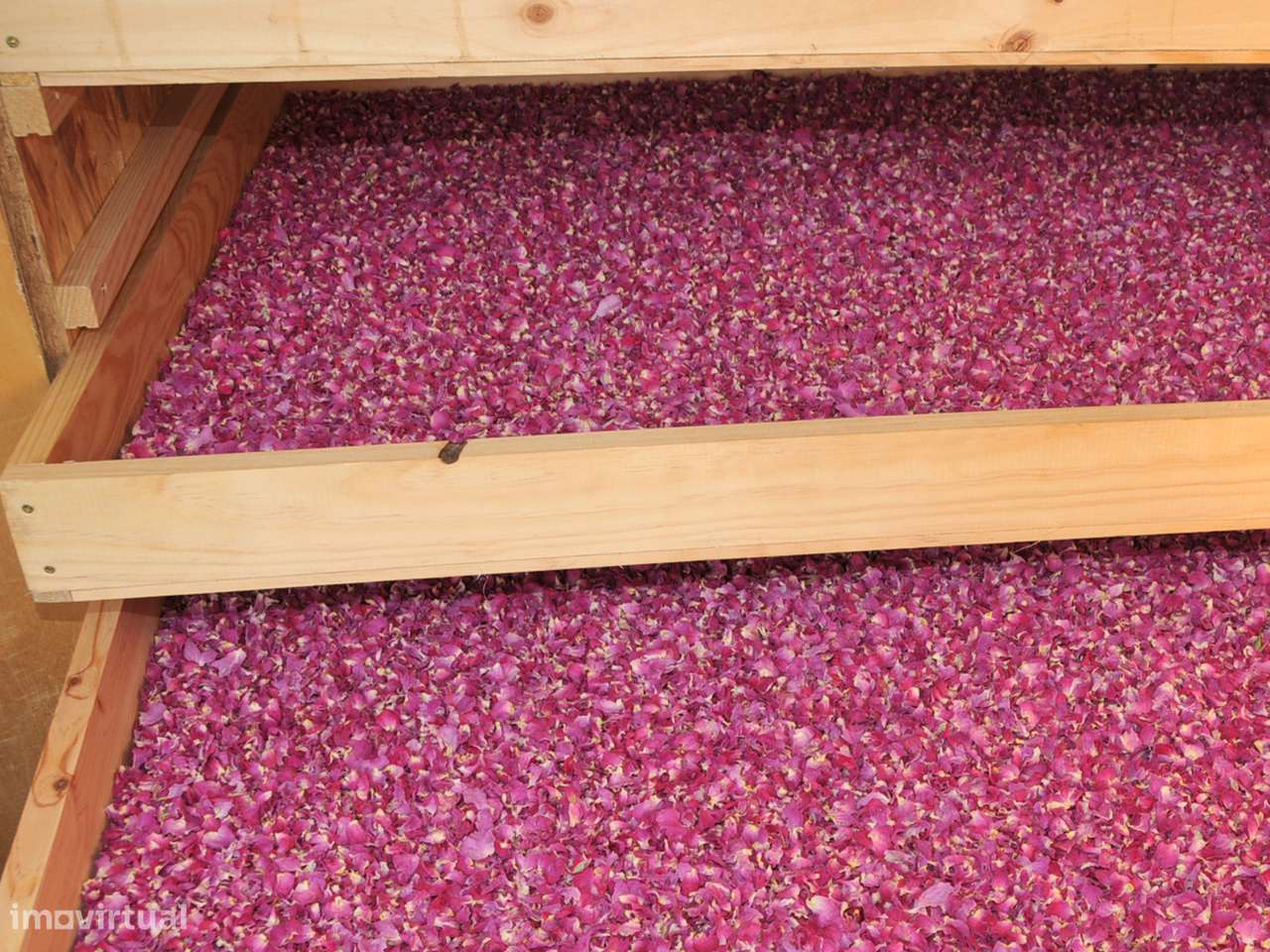 Quinta 16 ha com rosas de Damasco, destilaria, saboaria , cosmética - Grande imagem: 4/44