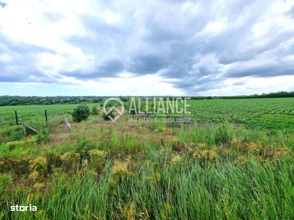 OVIDIU (COD 02)  - teren extravilan 4000 mp - Imagine principală: 2/6