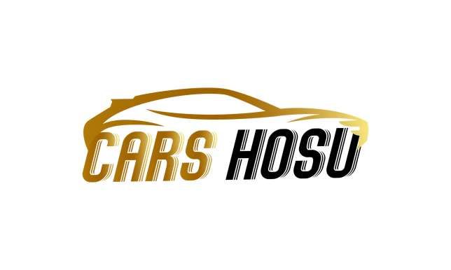 CARS HOSU logo