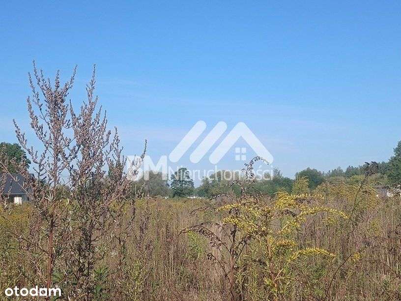 Działka w Opypach z pozwoleniem na budowę - Pełny obrazek: 4/8