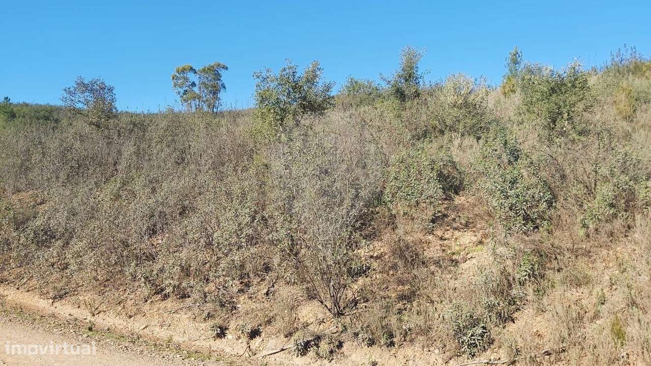 Terreno  para venda - Grande imagem: 3/6