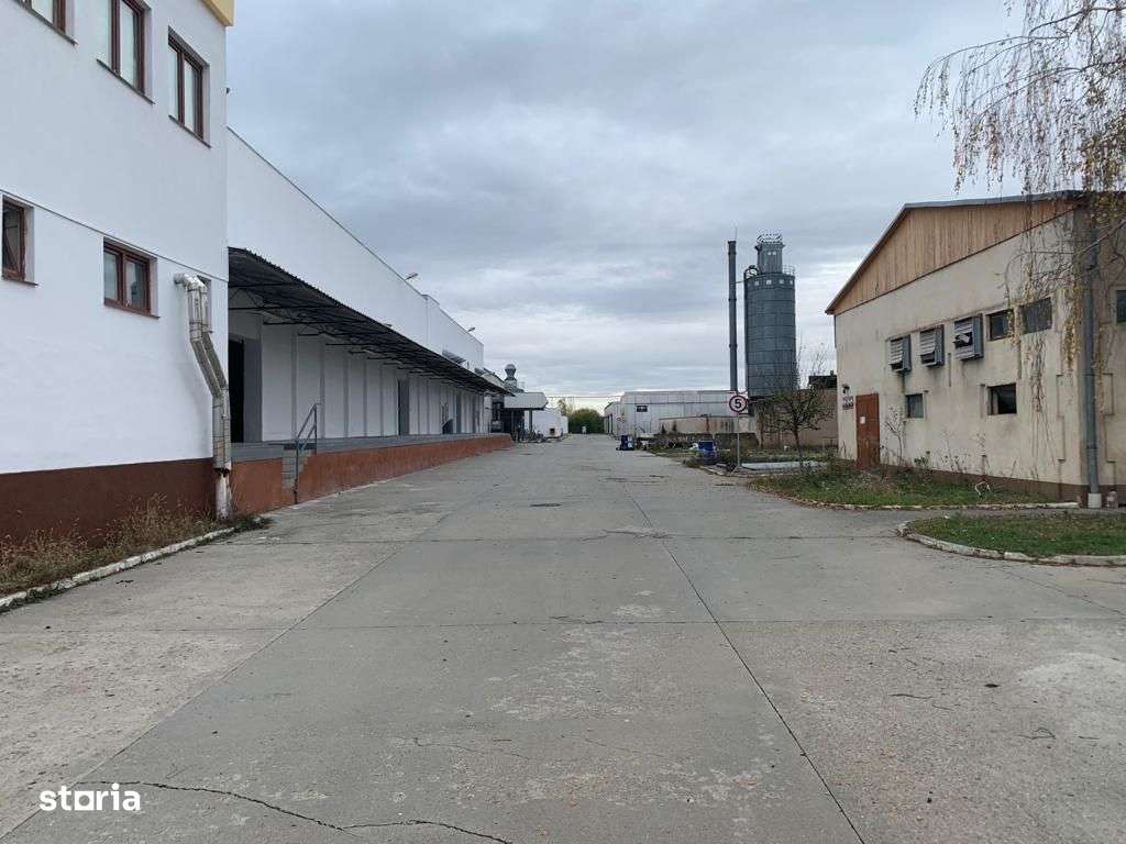 De inchiriat Hala / Depozit Satu Mare - Imagine principală: 4/15