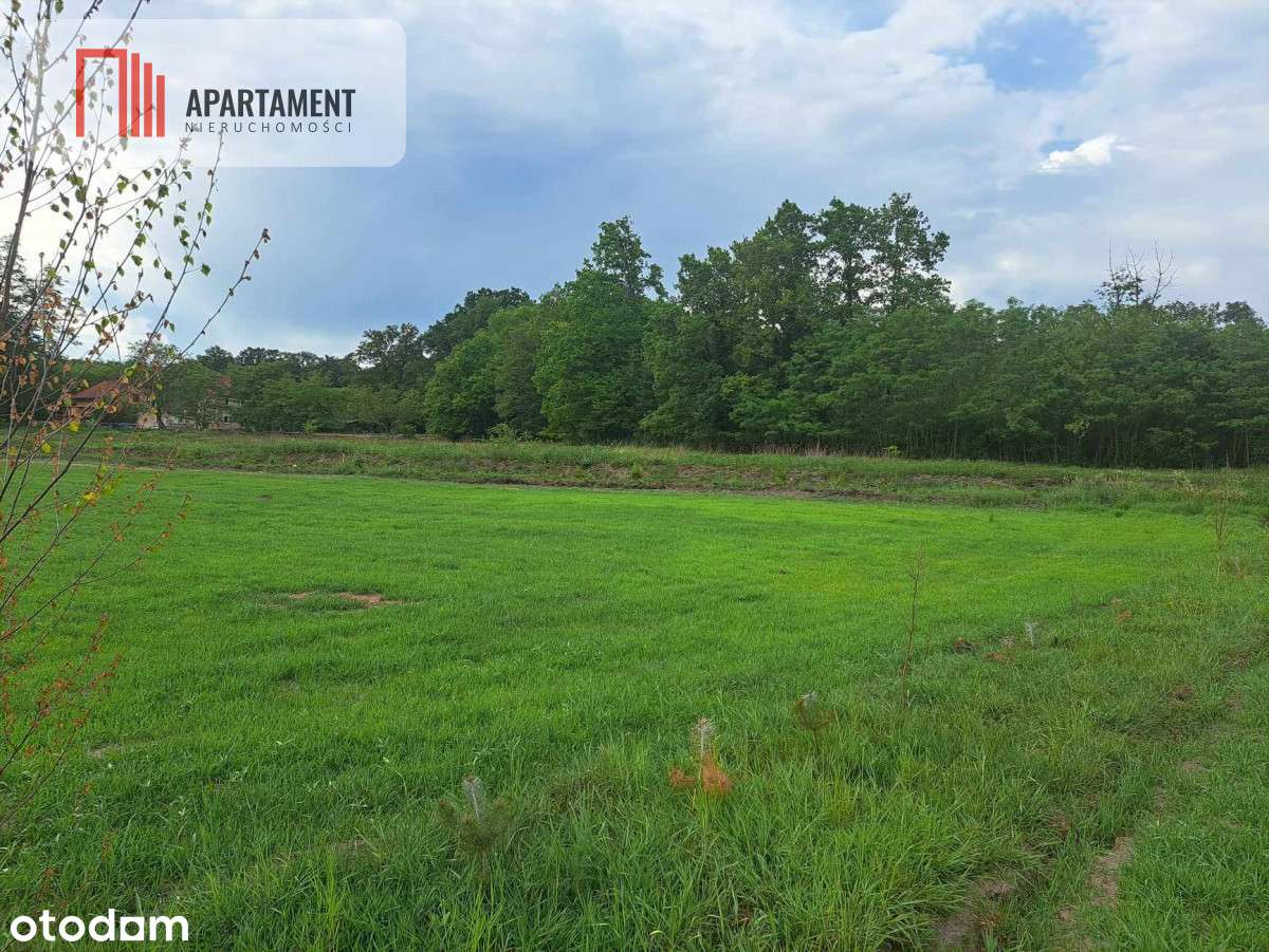 10 ar/budowlana/zielona okolica/30 km od Wrocławia - Pełny obrazek: 4/12