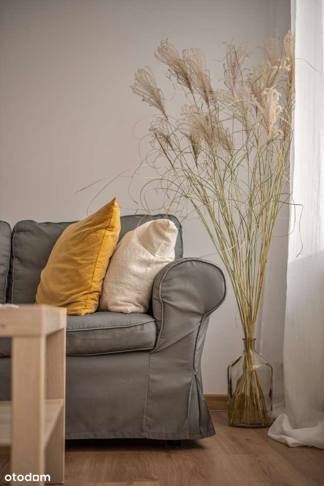 45 m²/kawalerka z nyżą/centrum i cicho/do wprowadzenia - Pełny obrazek: 4/17