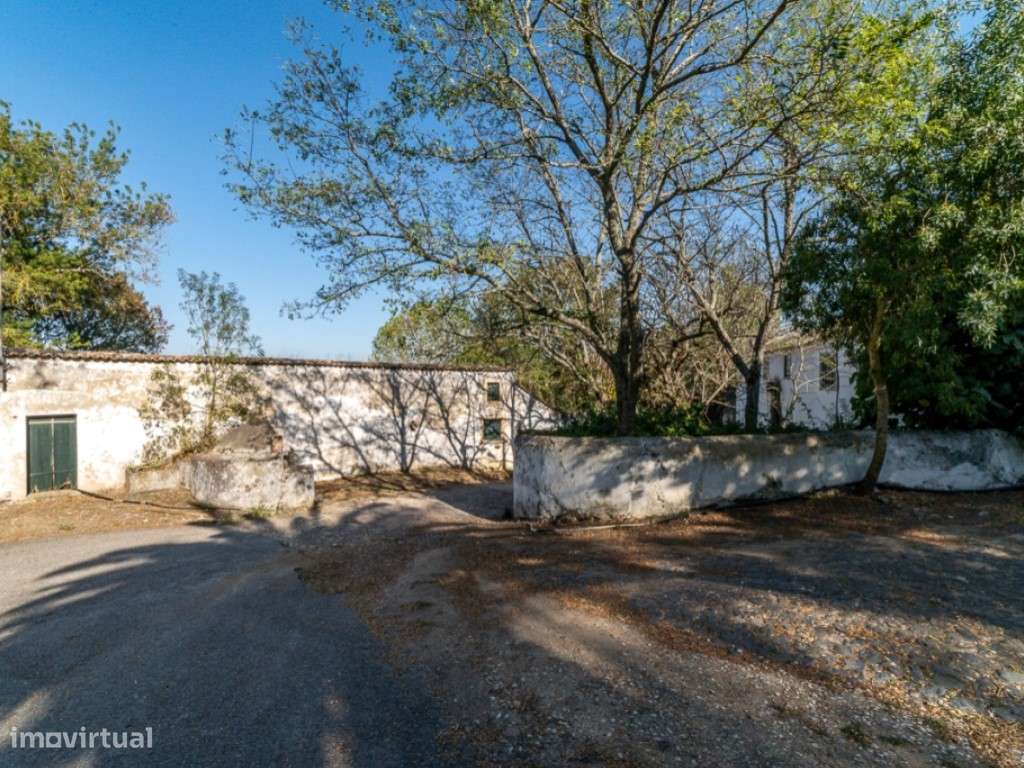 Quinta - Freiria - Sobral Monte Agraço - Grande imagem: 5/19