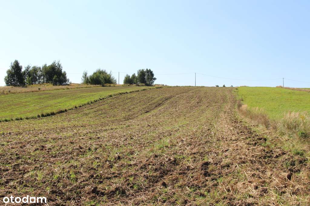 Działka budowlano - rolna przy Parku Ojcowskim-14