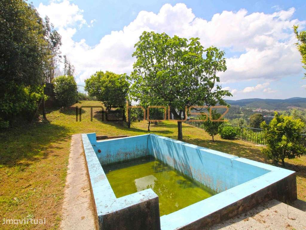 Quinta agrícola - 45 minutos do Porto-36