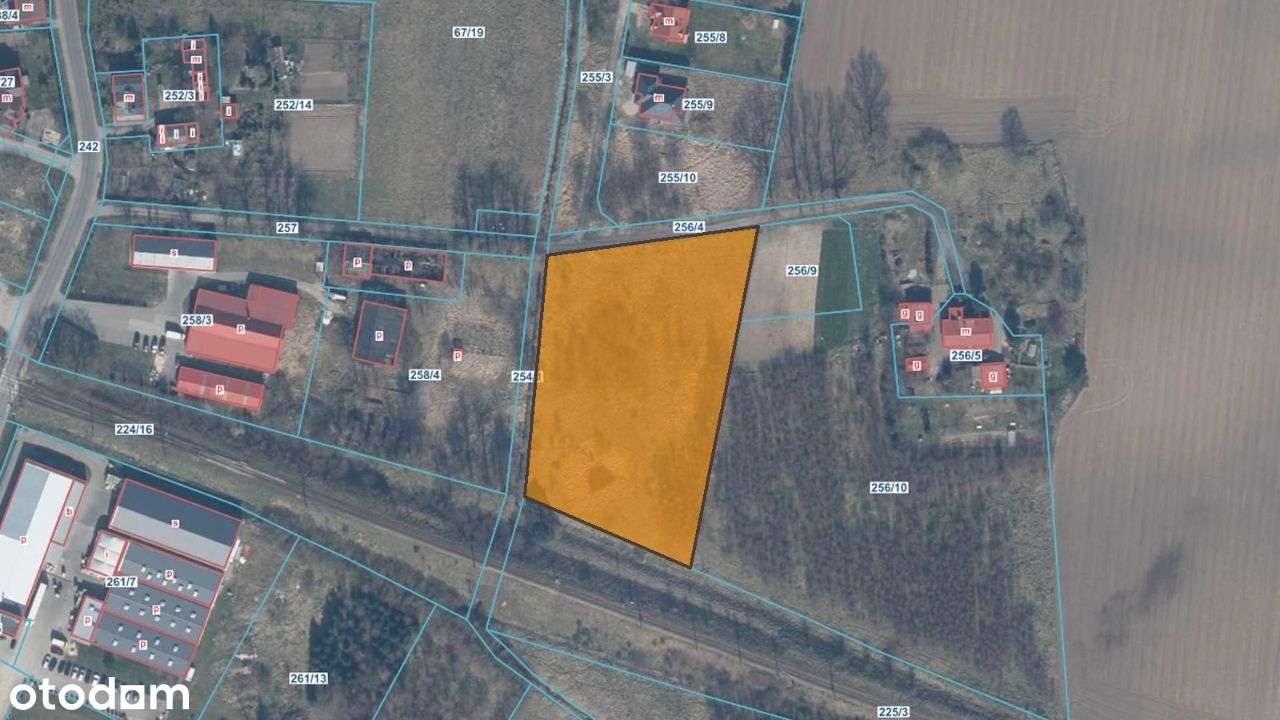 Dygowo dz. inwestycyjna 12km od Kołobrzegu - Pełny obrazek: 4/6