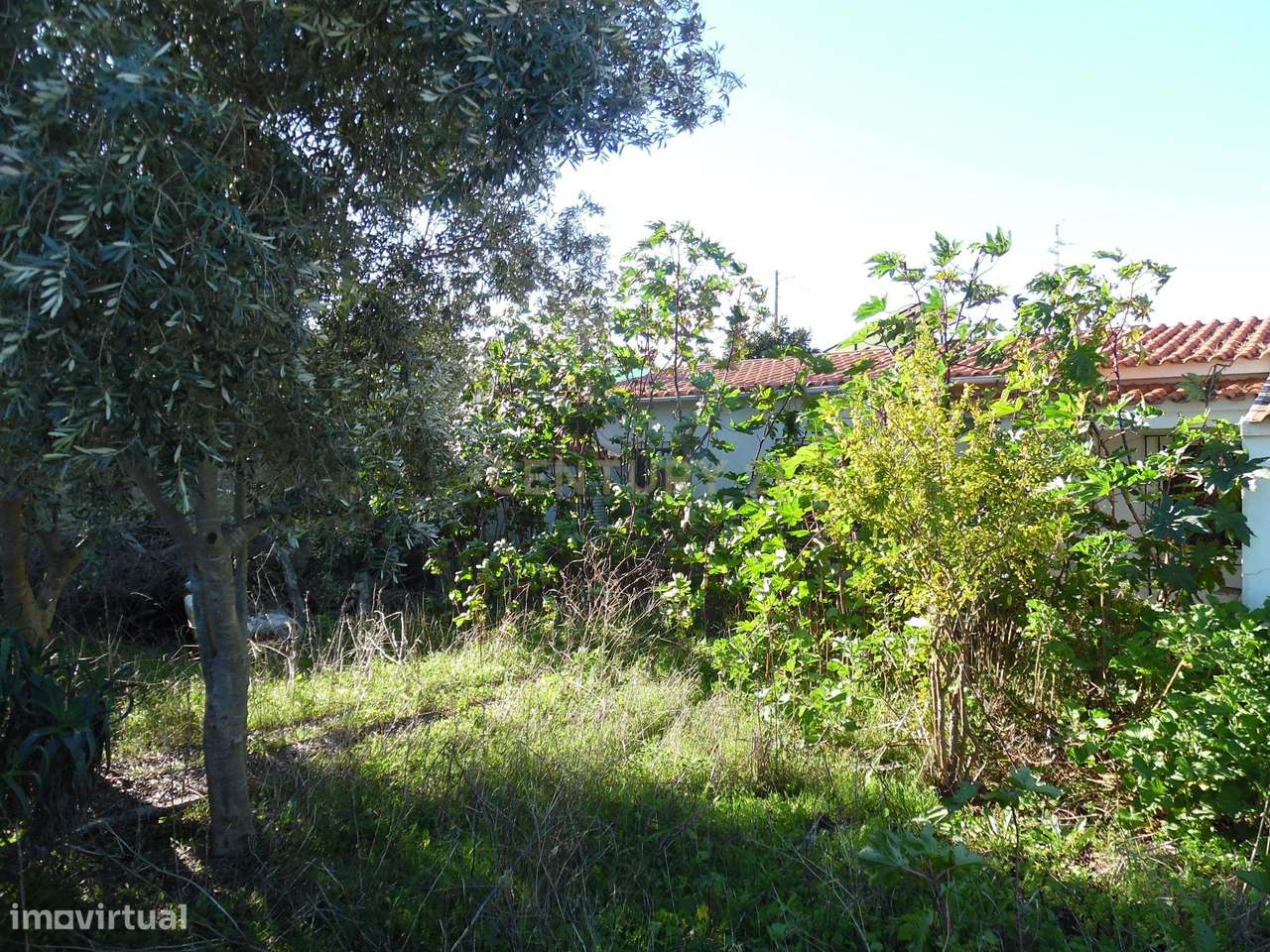 Terreno Urbano em Fernão Ferro, Seixal - Oportunidade Única - Grande imagem: 5/49