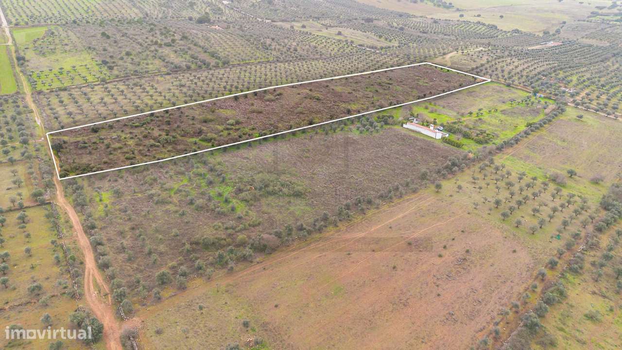 Herdade T3 em Vila Boim-13