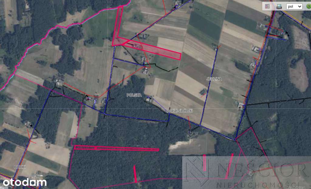 5,3 ha pod agroturystykę lub stadninę - Pełny obrazek: 3/10