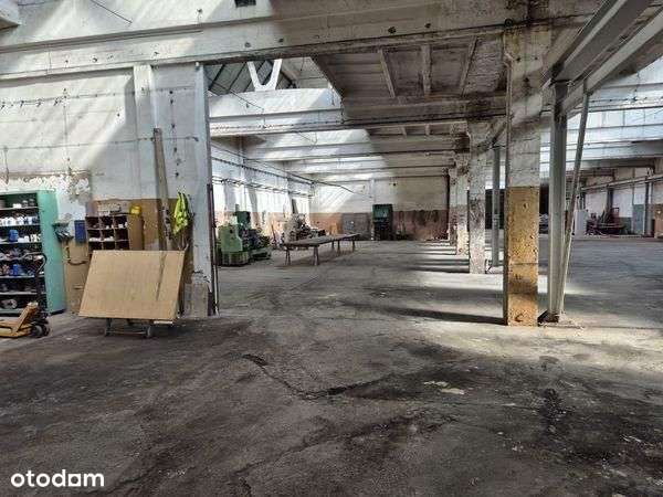 Lokal użytkowy, 5 024,50 m², Pionki-11