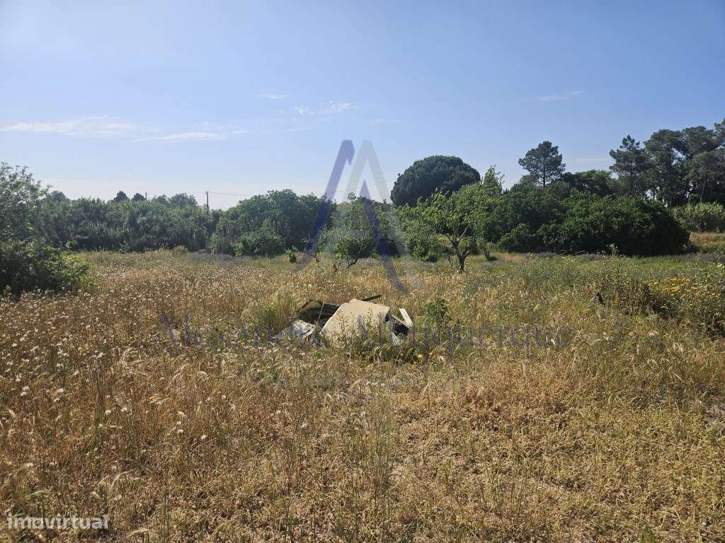 Quinta com 3 Habitações | Pinhal Novo | Terreno 5.400 m²-11