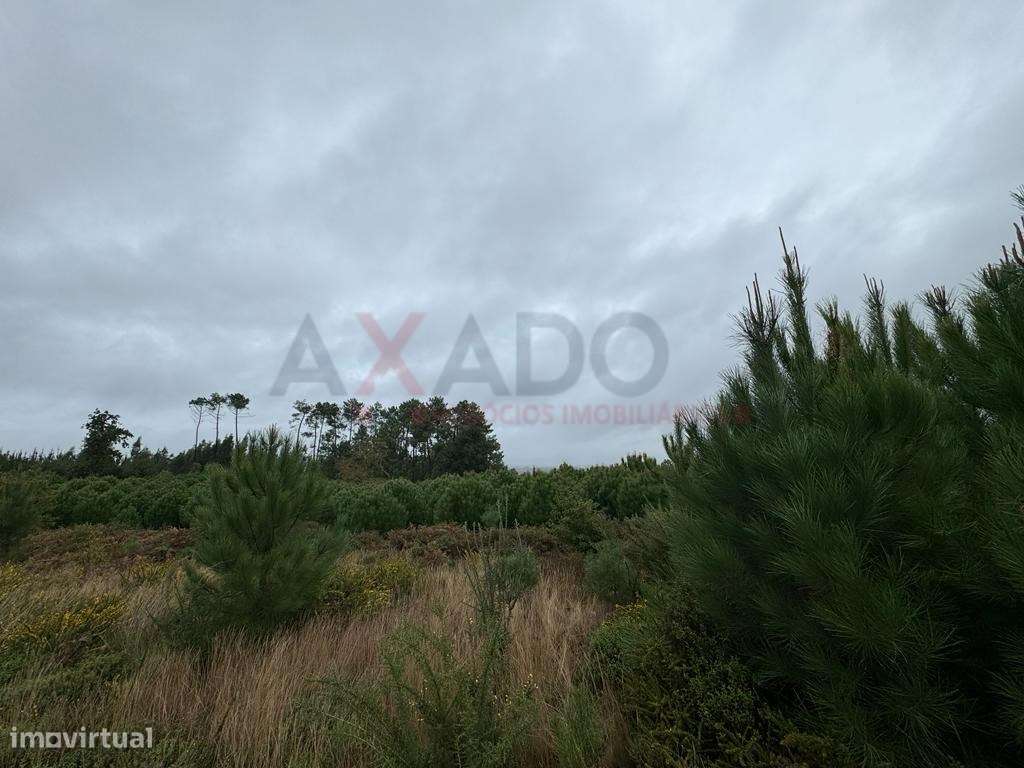 Terreno para construção na Folgosa da Madalena - Grande imagem: 5/7