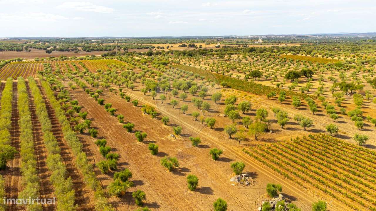 Terreno  para venda - Grande imagem: 4/20