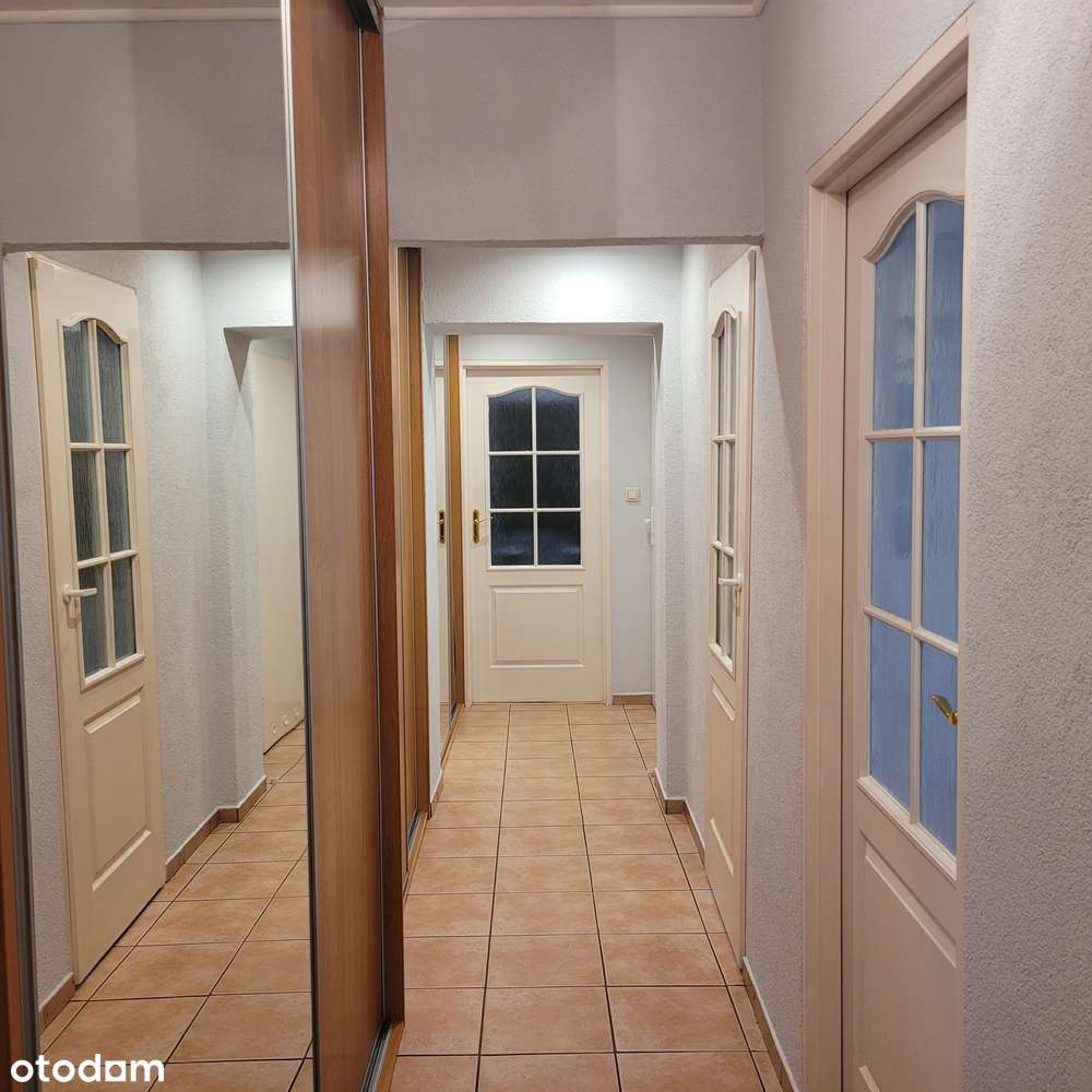 Mieszkanie 2 pokoje, rozkład, plomba, w ok. pl Bema-10