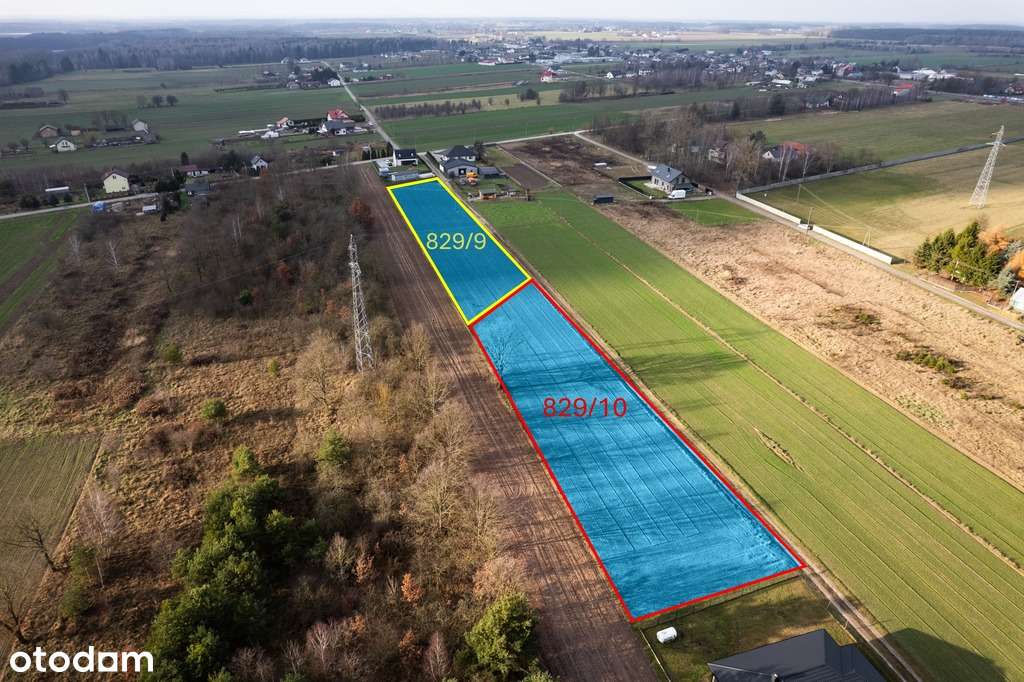 3002 m² natury i spokoju w Gręzowie - Pełny obrazek: 5/7