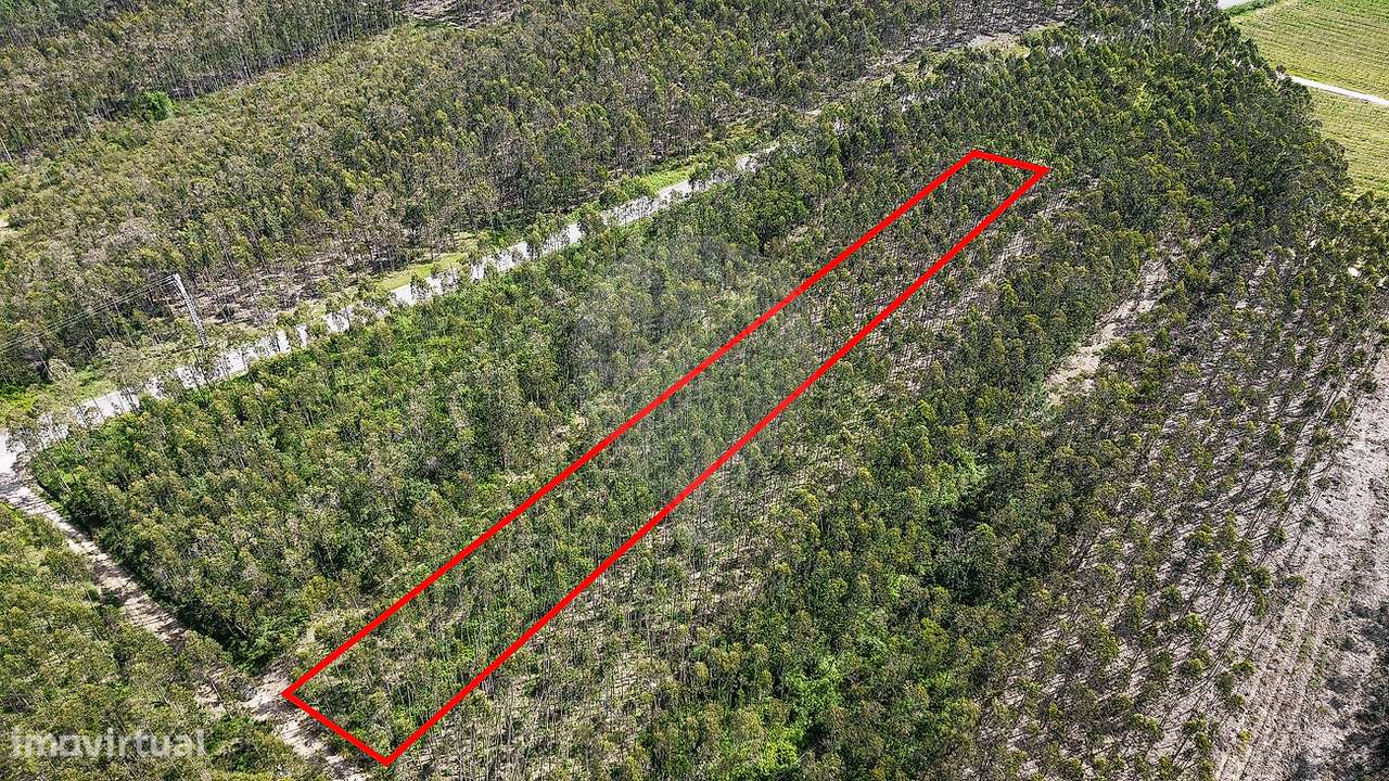 Terreno  para venda - Grande imagem: 3/8